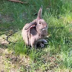 Maly Na Kaszubach Дом отдыха Radun