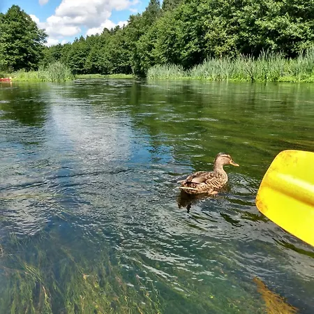 Ferienhaus Na Kaszubach *