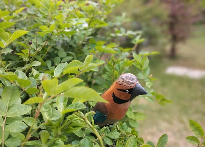 Prázdninový dům Maly Na Kaszubach *