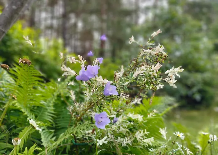 Maly Na Kaszubach Prázdninový dům *
