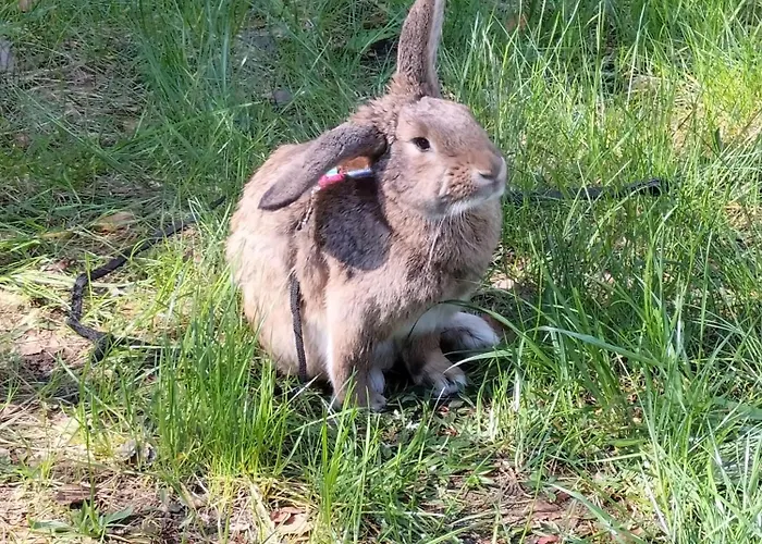 Maly Na Kaszubach Prázdninový dům Radun