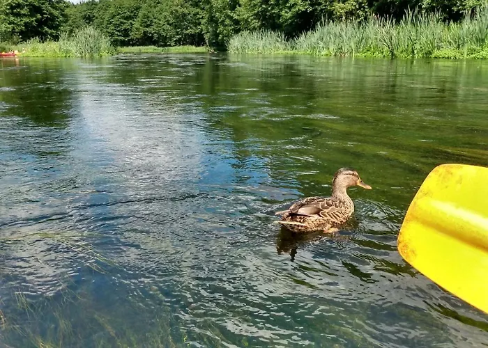 Prázdninový dům Maly Na Kaszubach *